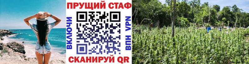 Купить наркоту Алексеевка А ПВП КОКАИН АМФ Меф мяу мяу Псилоцибиновые грибы ГАШИШ МАРИХУАНА