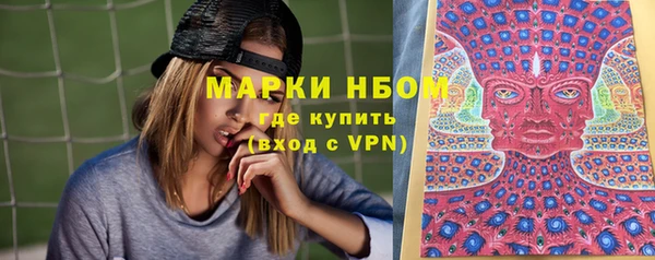 хмурый Алзамай