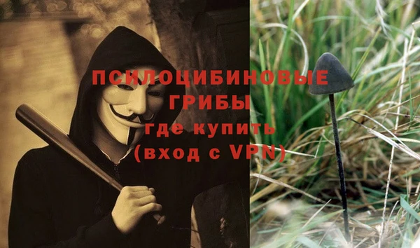 прущий лед Алексеевка