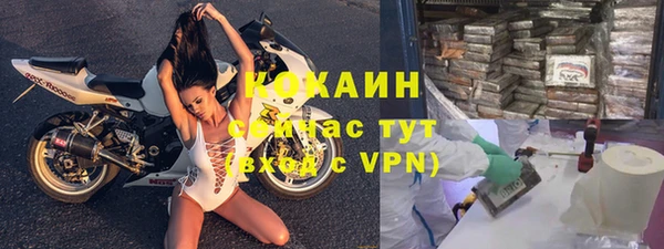стаф Снежногорск