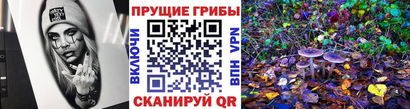 закладки  Алексеевка  mega tor  Псилоцибиновые грибы MAGIC MUSHROOMS 
