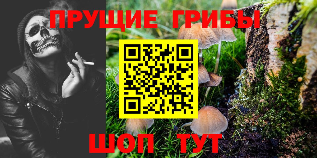 Галлюциногенные грибы Psilocybine cubensis  Галлюциногенные грибы Magic Shrooms  Вход с VPN  Алексеевка 