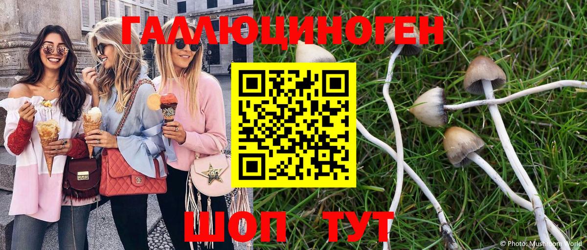 Галлюциногенные грибы ЛСД Алексеевка